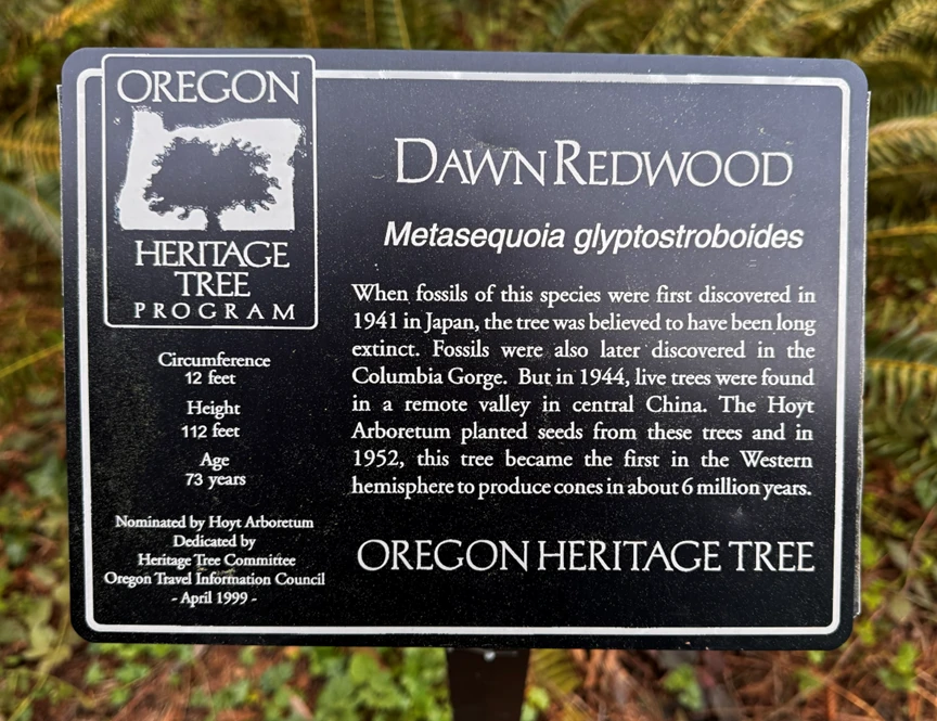 Dawn Redwoods Sign